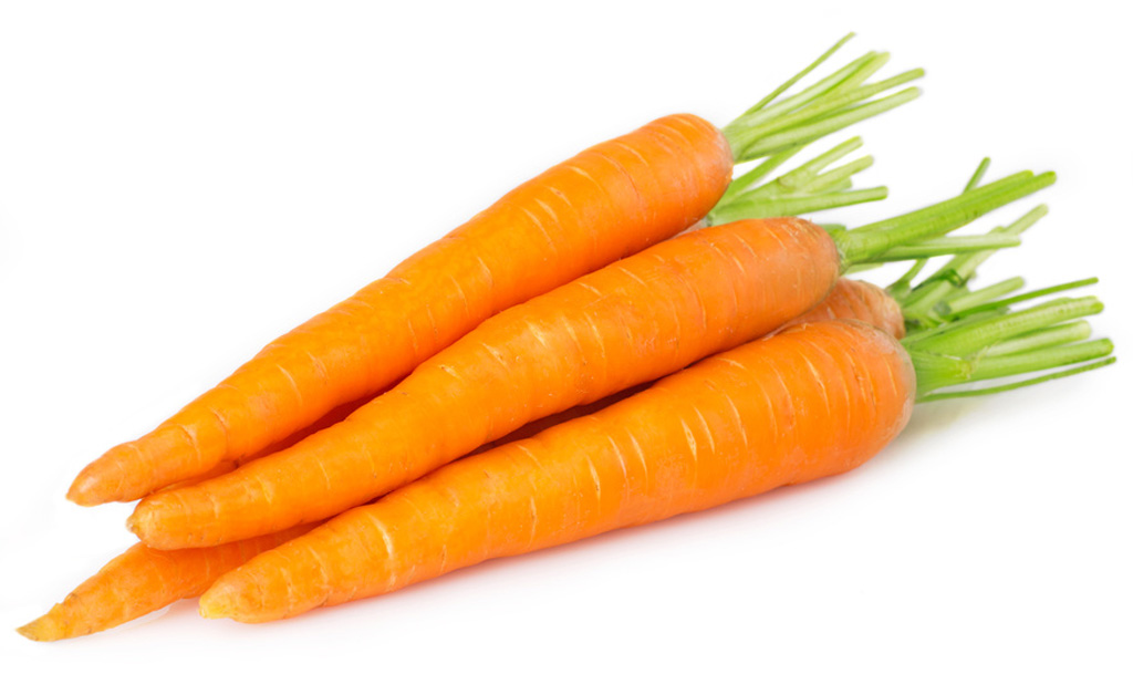 carrot - karoti
