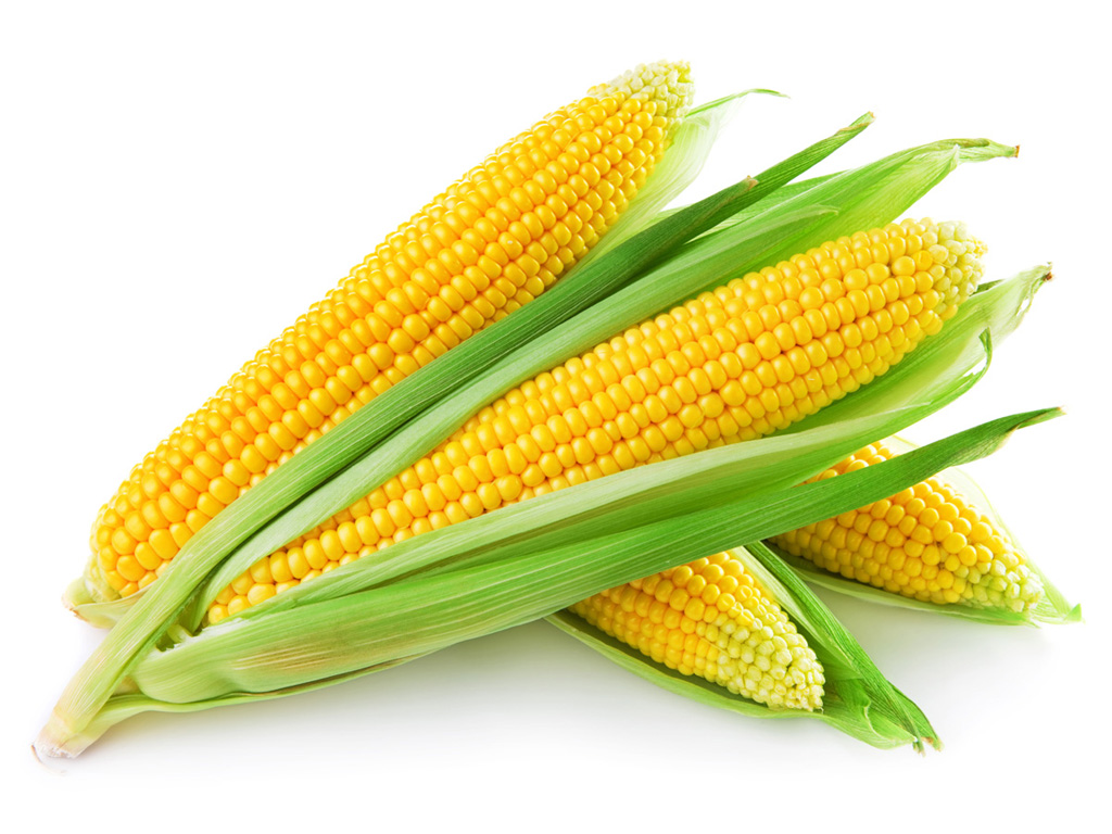 corn - hindi