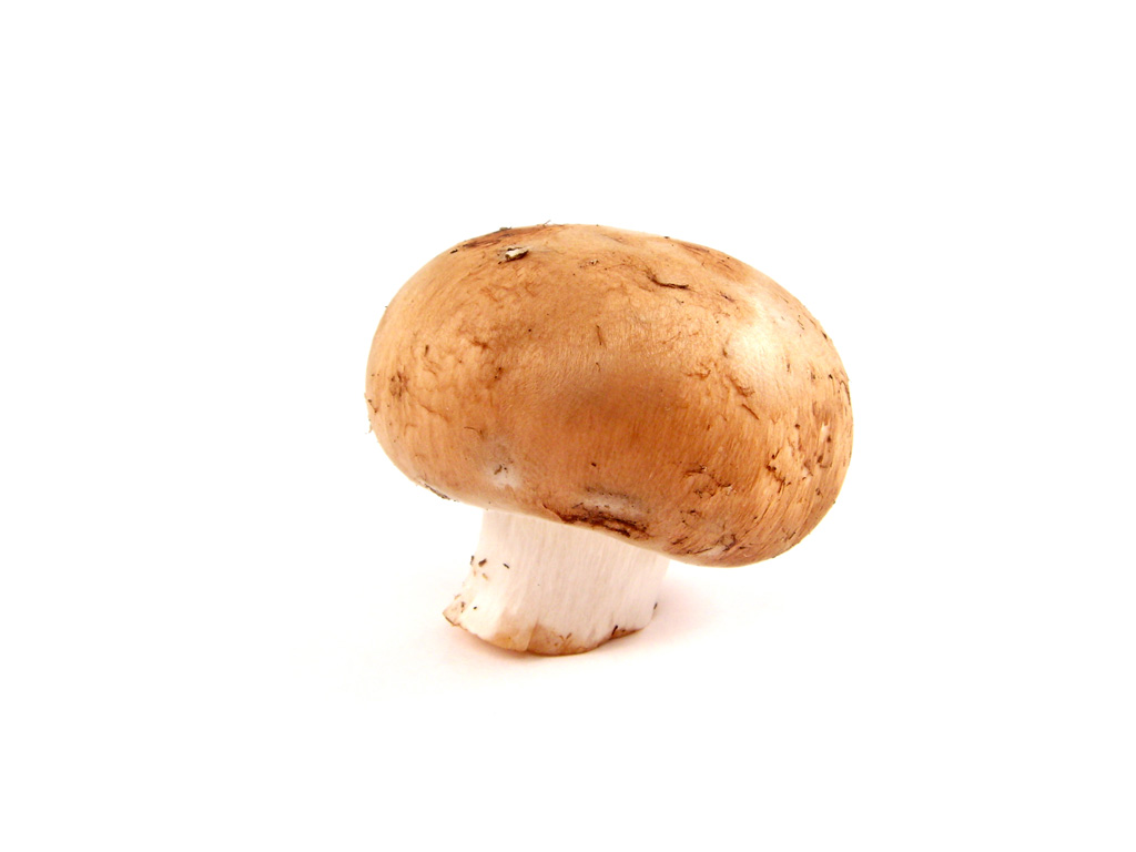 mushroom - uyoga