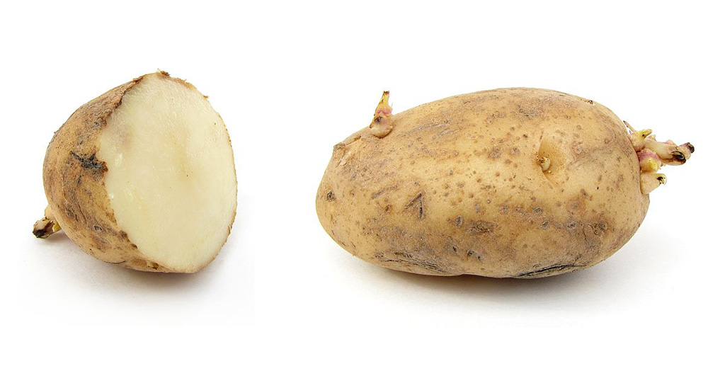 potato - kiazi