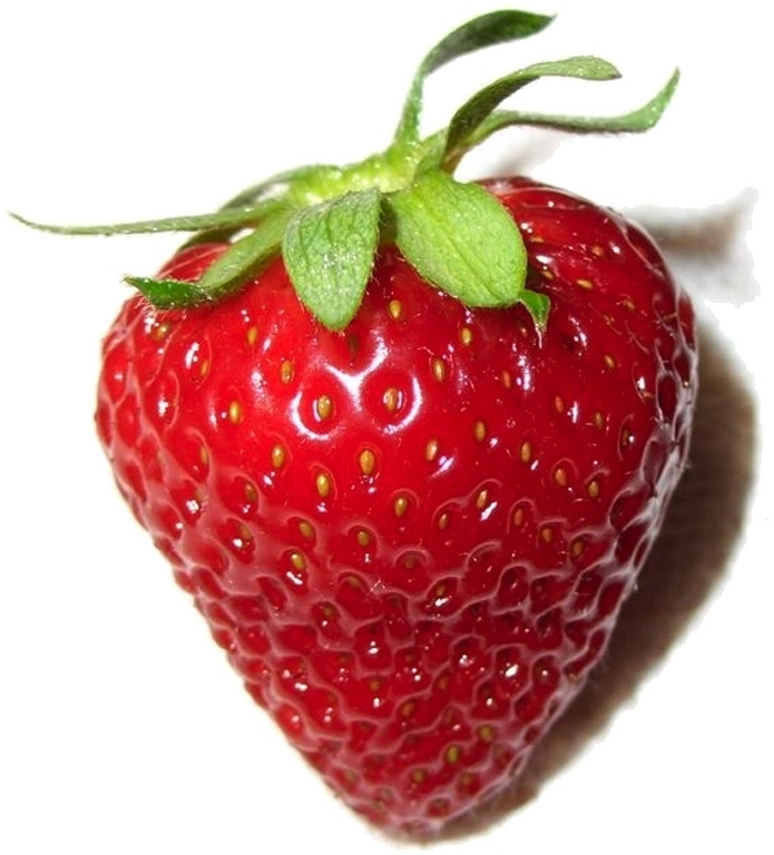 strawberry - stroberi